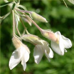 Image: Trevor James © Trevor James 